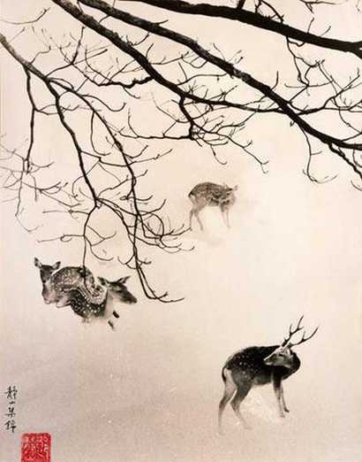 郎静山 林间鹿群
